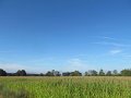 064 (2)